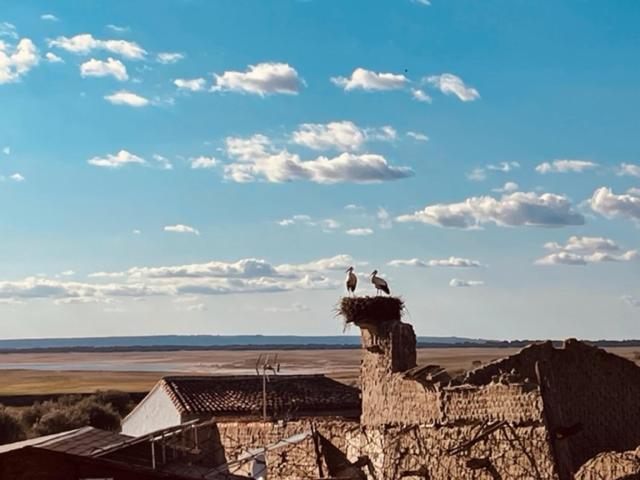 Casa Rural La Cruz إل غوردو المظهر الخارجي الصورة